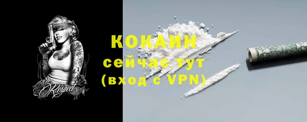 дживик Богданович
