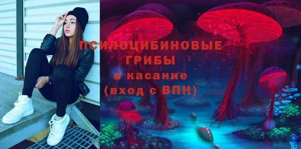 амф Белоозёрский