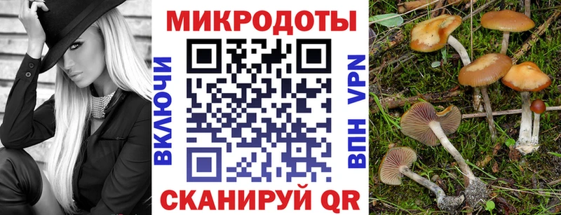 kraken ТОР  Шебекино  Галлюциногенные грибы ЛСД  закладки 